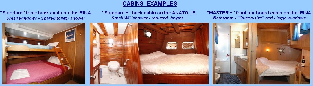 cabin charter